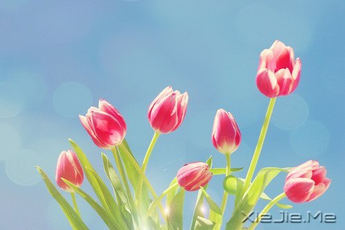˥ϵĲգǲҽȡ (1)