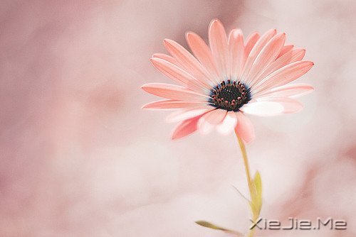 簲Ҫģ¶ (1)